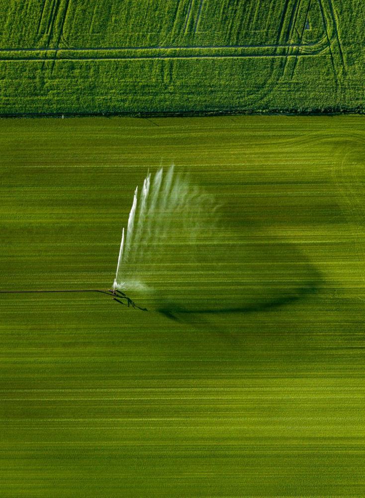 Irrigation sprinkler watering a green field